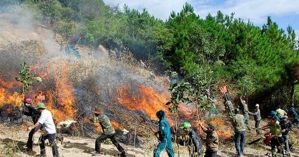 Từ ngày 1/7 người tham gia chữa cháy, cứu nạn, cứu hộ được hưởng chế độ, chính sách mới