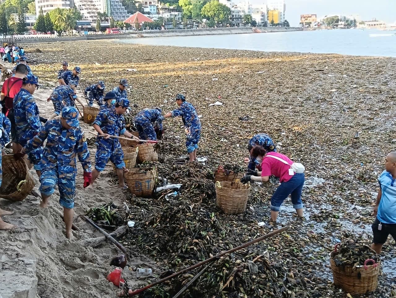 Trung đoàn 251 chung tay làm sạch môi trường biển