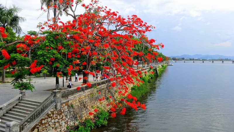 Cảm xúc tháng Bảy