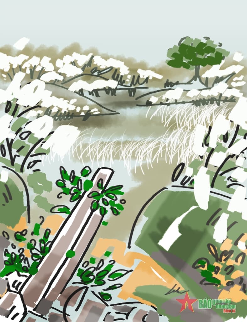 Giữa ngàn lau xuân sớm