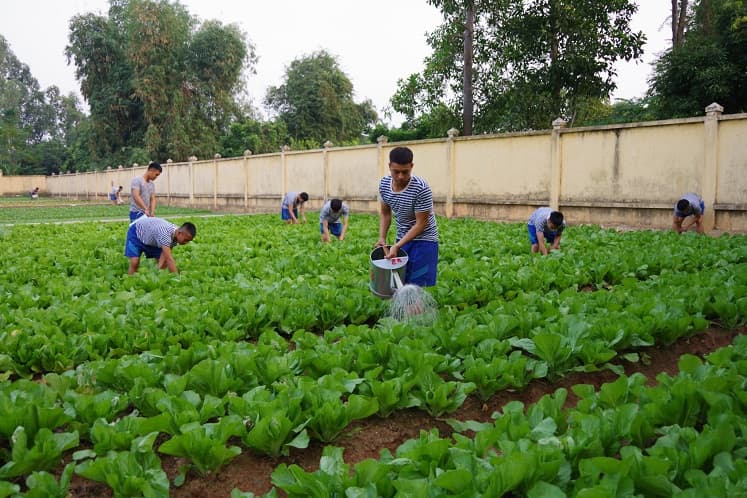 Bảo đảm tốt nguồn thực phẩm đón Tết