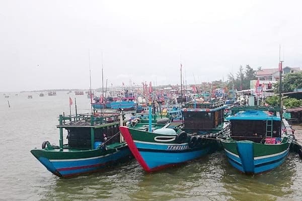 Không để xảy ra tình trạng tàu cá vi phạm khai thác hải sản