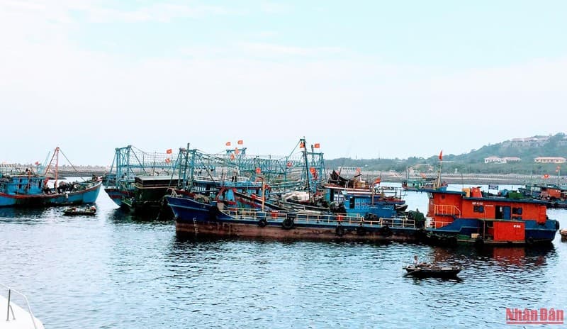 Hải Phòng quyết liệt chống khai thác thủy sản bất hợp pháp