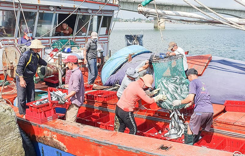 Vượt khó vươn khơi, bám biển