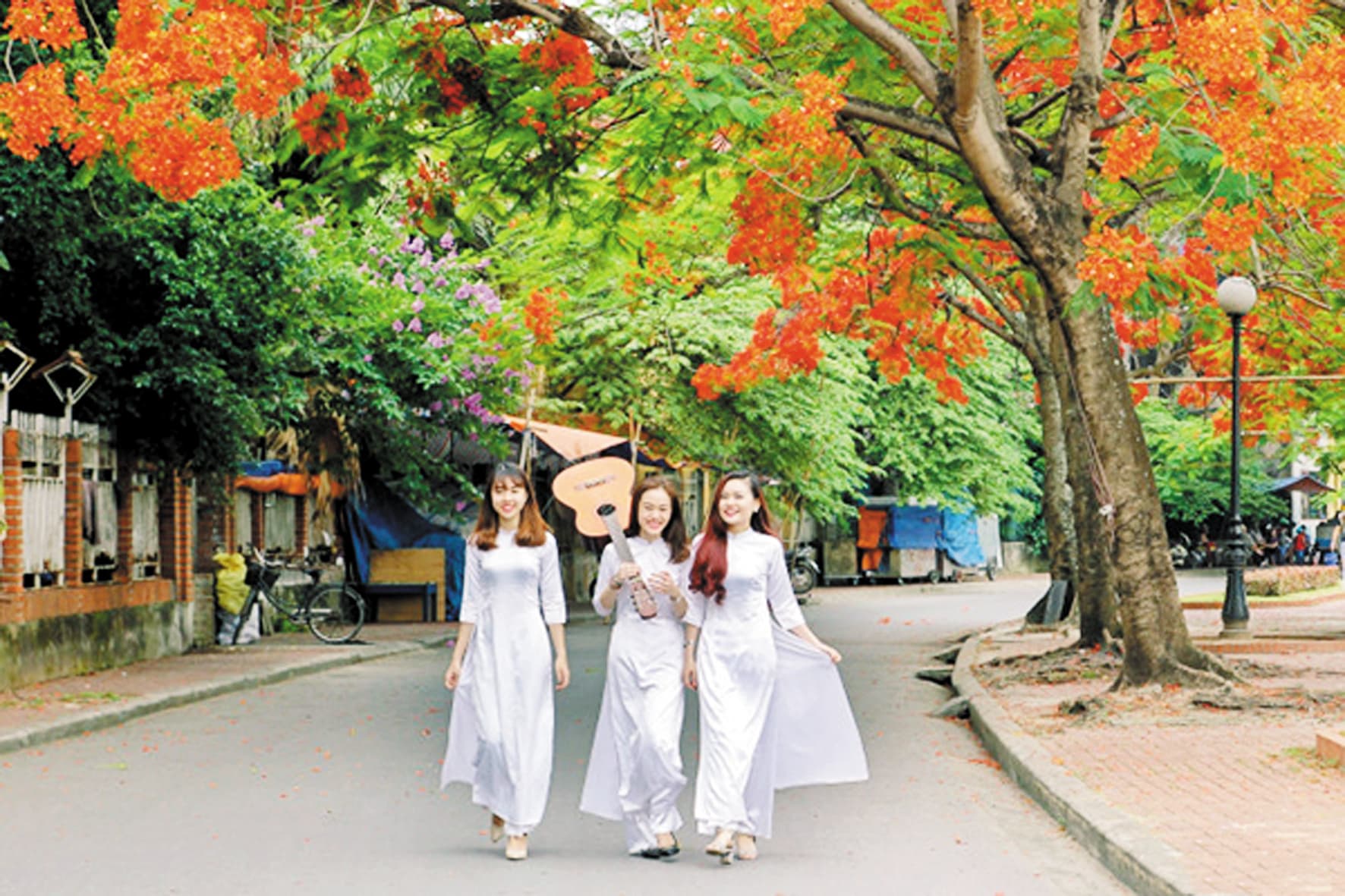 Tháng Năm rợp trời hoa phượng nở