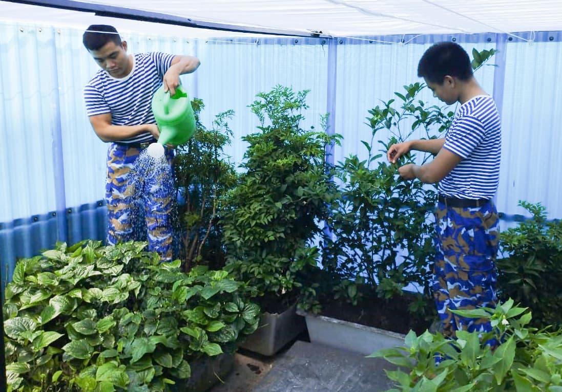 Màu xanh trên nền cát mặn, san hô