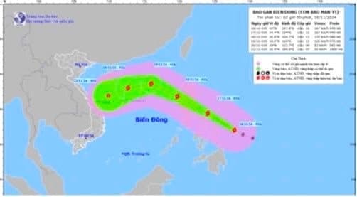 Từ Quảng Ninh đến Bình Thuận chủ động ứng phó với diễn biến bão Man-yi