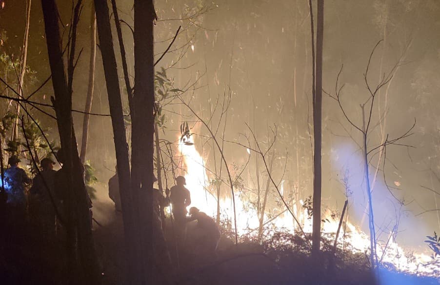 Lữ đoàn 126 tham gia chữa cháy rừng