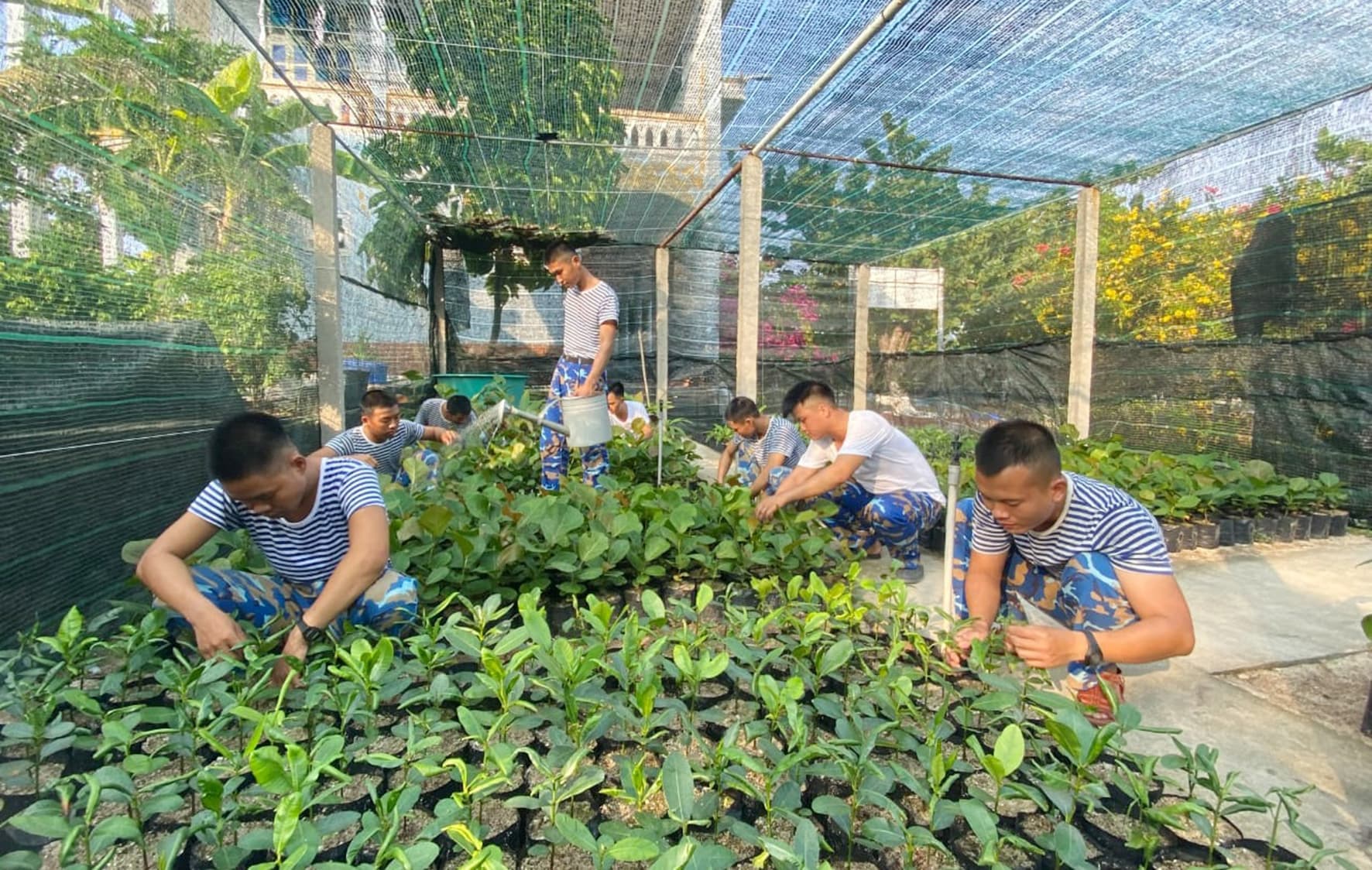 Tuổi trẻ Lữ đoàn 146 thực hiện hiệu quả Chương trình “Xanh hoá Trường Sa”