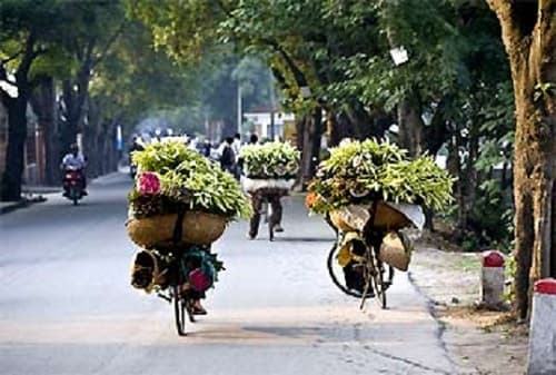 Tháng tư, hoa gọi hè về...