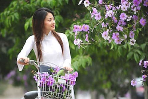 Dịu dàng tím biếc bằng lăng