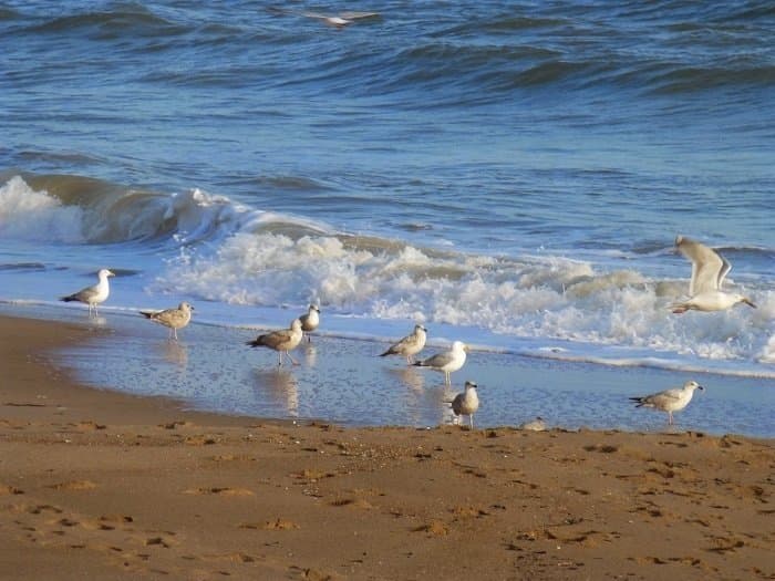 Dịu dàng biển mùa đông