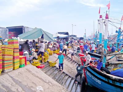 Tiếp tục triển khai nhiều giải pháp nhằm khắc phục “thẻ vàng” của EC