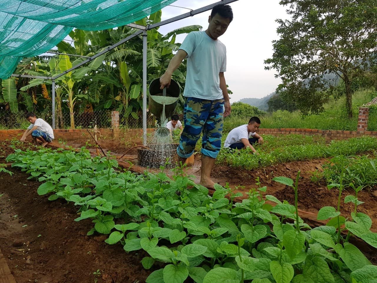 Doanh trại xanh trên đỉnh núi cằn khô