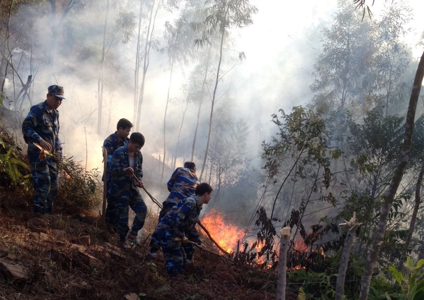 Tiểu đoàn 151, Vùng 1 Hải quân tham gia chữa cháy rừng