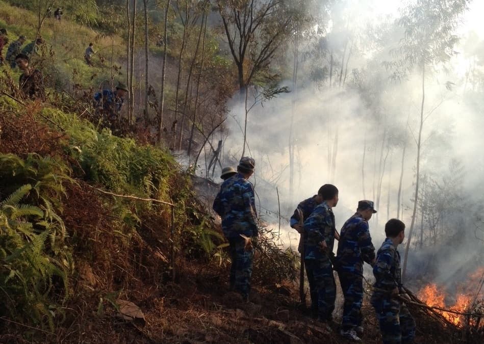 Tiểu đoàn 151, Vùng 1 Hải quân: Chung tay bảo vệ môi trường