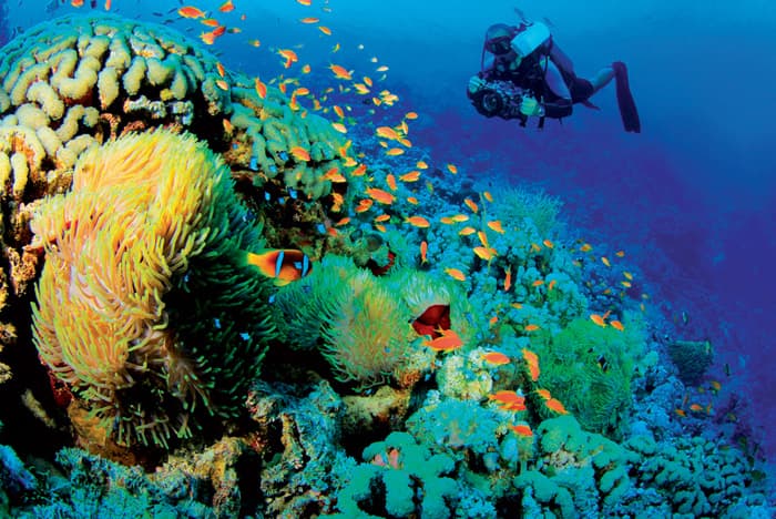 Hưởng ứng Ngày quốc tế Đa dạng sinh học 2020