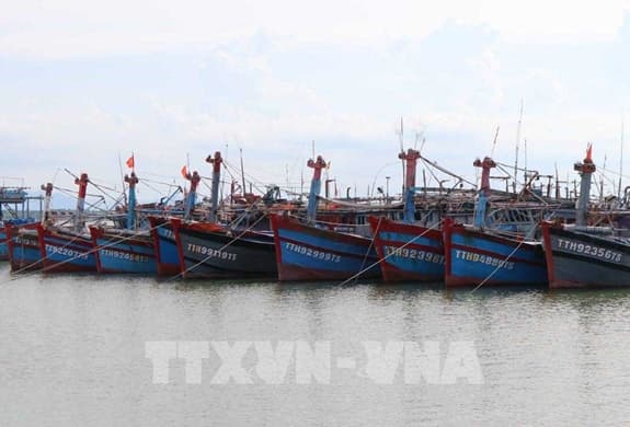 Công điện của Thủ tướng Chính phủ về việc tập trung ứng phó với bão số 5