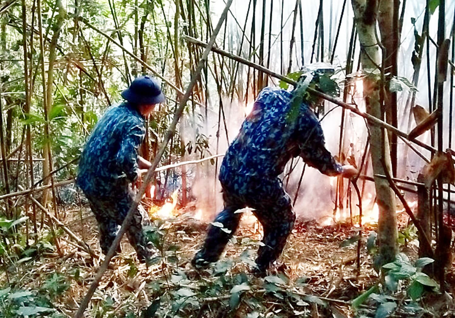 Trạm Ra đa 485, Tiểu đoàn 151 tham gia chữa cháy rừng