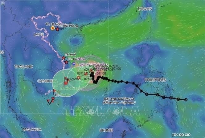 Bão số 15 suy yếu