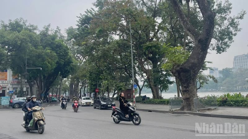 Thời tiết ngày 14/1: Bắc Bộ ngày nắng, sáng và đêm trời rét