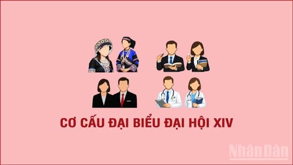 Cơ cấu, thành phần đại biểu dự Đại hội XIV của Đảng