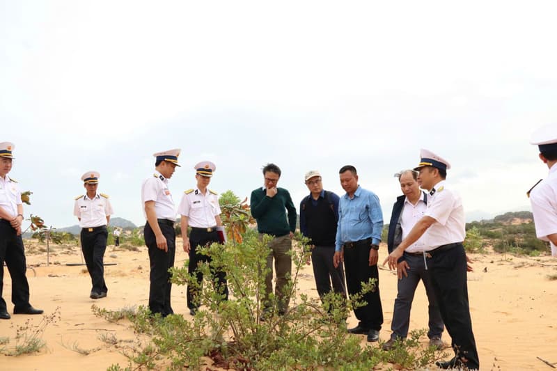 Vùng 4 nghiệm thu kết quả trồng thí điểm phủ xanh bán đảo Cam Ranh