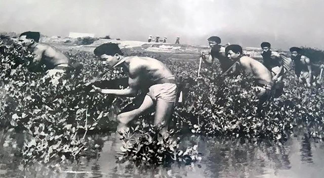 KỶ NIỆM 60 NĂM NGÀY TRUYỀN THỐNG LỮ ĐOÀN ĐẶC CÔNG HẢI QUÂN 126 (13/4/1966-13/4/2026)