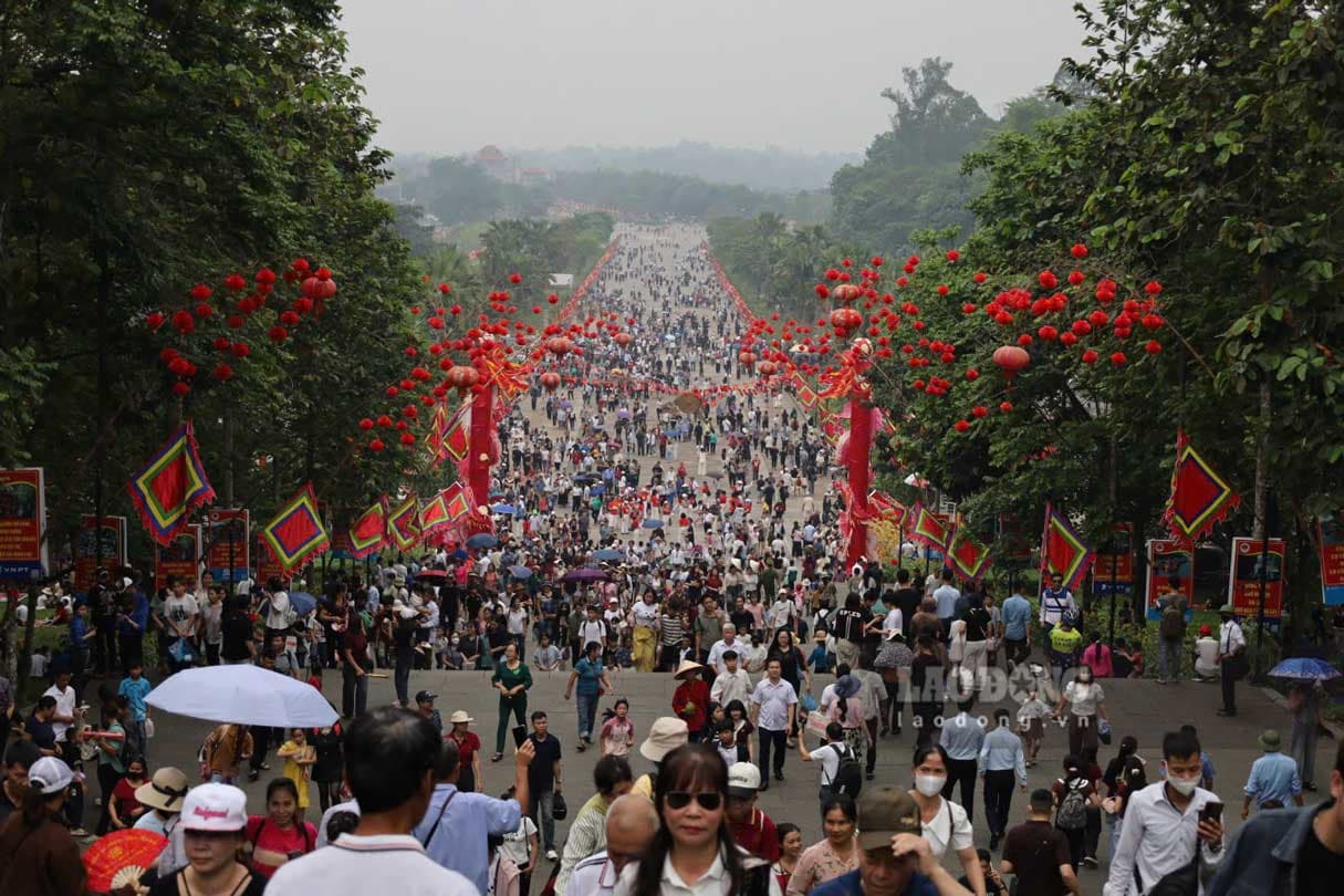 Như cây một cội, như con một nhà