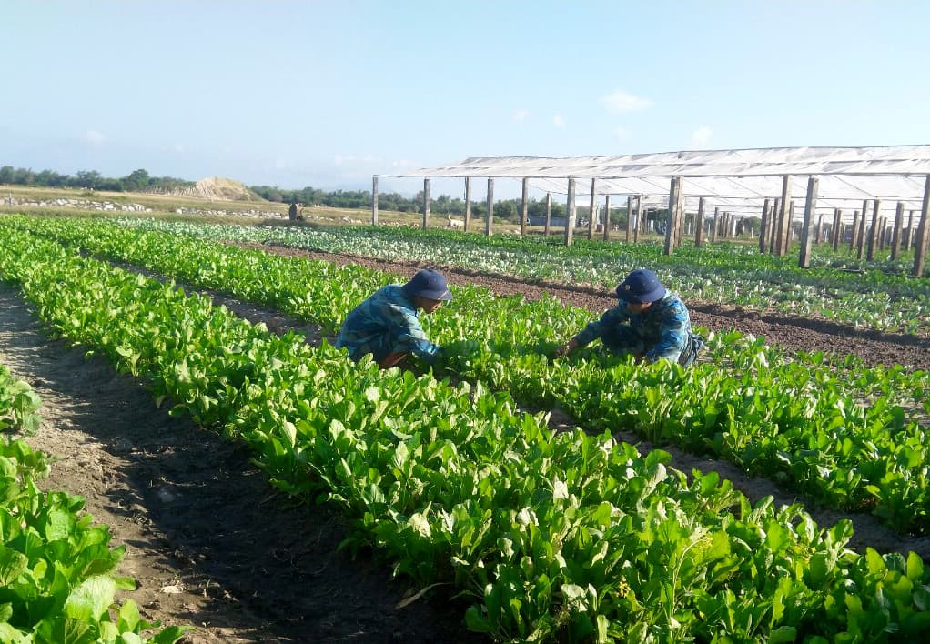 Chuẩn bị tốt việc bảo đảm hậu cần đón chiến sĩ mới