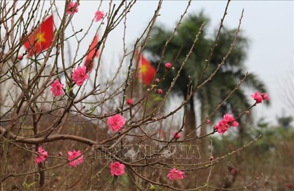 Miền Bắc sẽ đón Tết trong tiết trời ấm áp