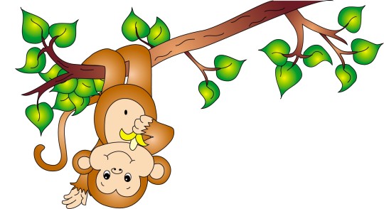 Có ai muốn thưởng thức hình ảnh về những chú khỉ leo cây thật nhanh nhẹn và đáng yêu sao? Hãy cùng nhìn những chú khỉ này leo lên leo xuống giữa đám cây rậm rạp và trẻ trung như những nhà điều hành chuyên nghiệp nhé!