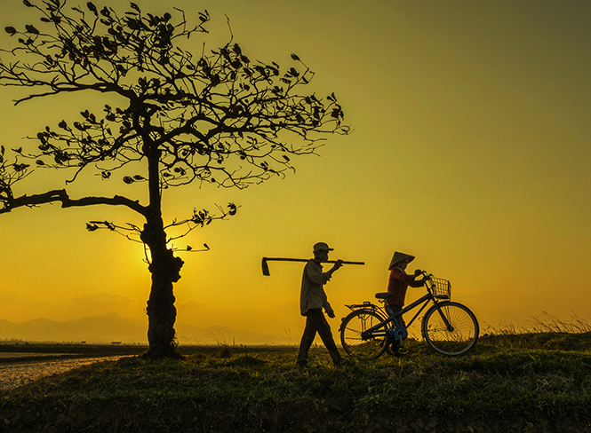 Truyện ngắn: Hạnh phúc giản đơn