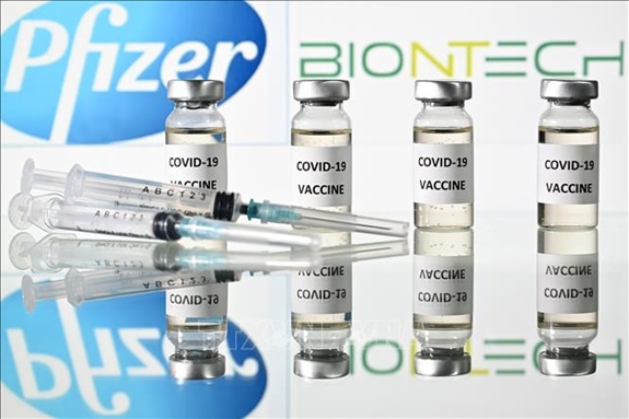 WHO phê chuẩn lưu hành khẩn cấp vaccine Pfizer/BioNTech - Báo Hải Quân Việt  Nam